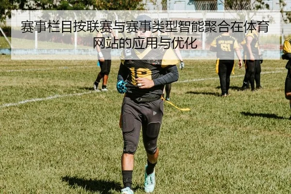 赛事栏目按联赛与赛事类型智能聚合在体育网站的应用与优化